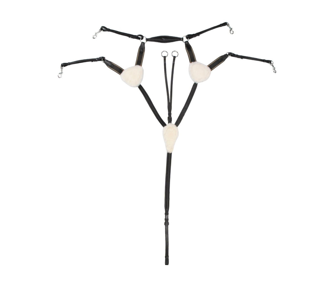 Jeremy &amp; Lord Five Point Breastplate - Saddleworld Devonport
