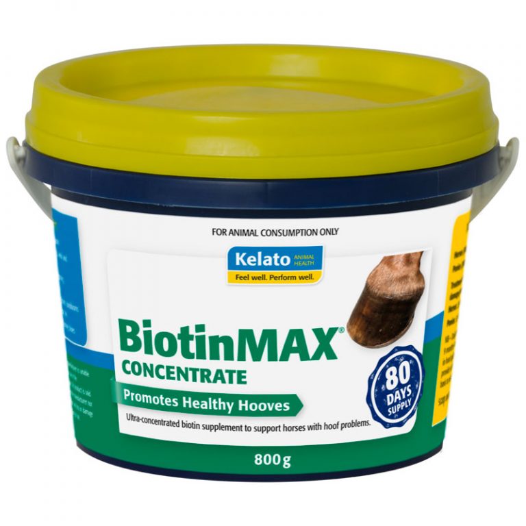 Kelato BiotinMAX Concentrate - Saddleworld Devonport