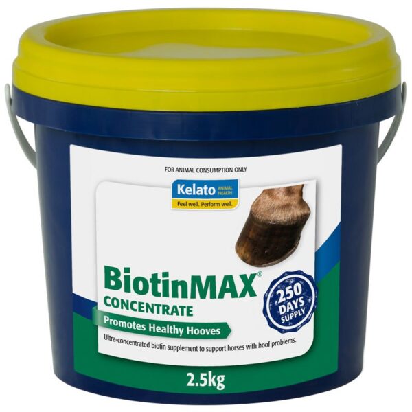 Kelato BiotinMAX Concentrate - Saddleworld Devonport