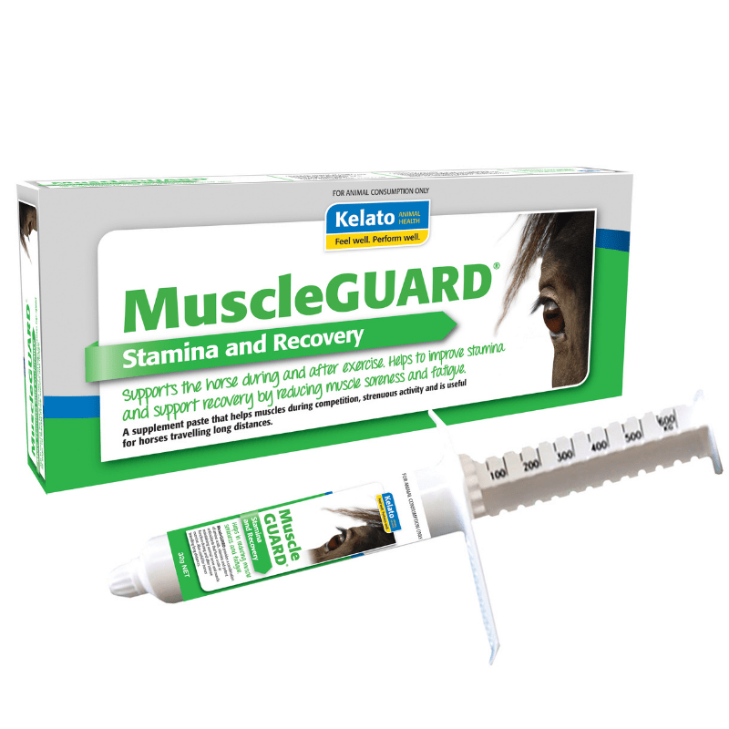 Kelato MuscleGUARD Paste - Saddleworld Devonport