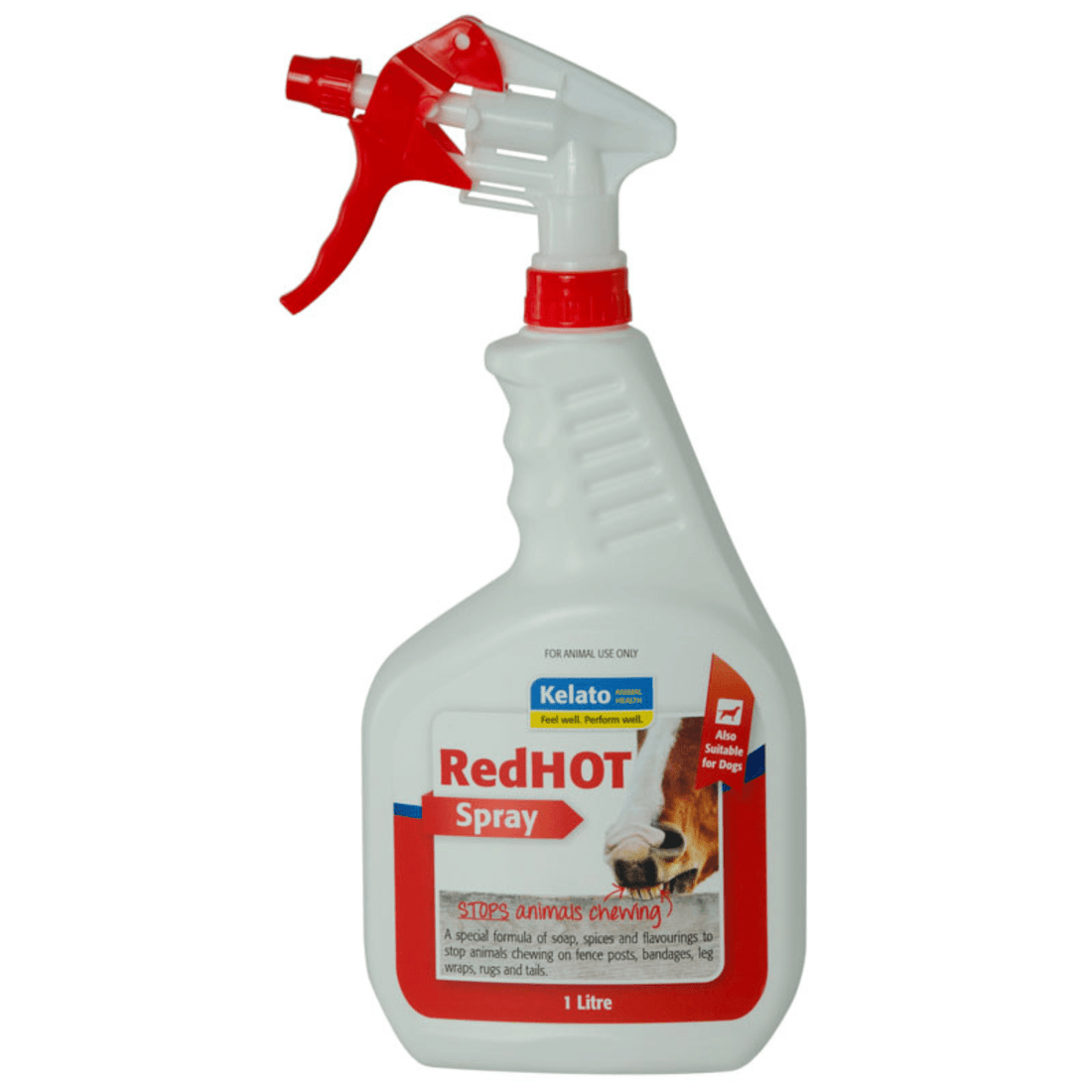 Kelato Redhot 946Ml - Saddleworld Devonport