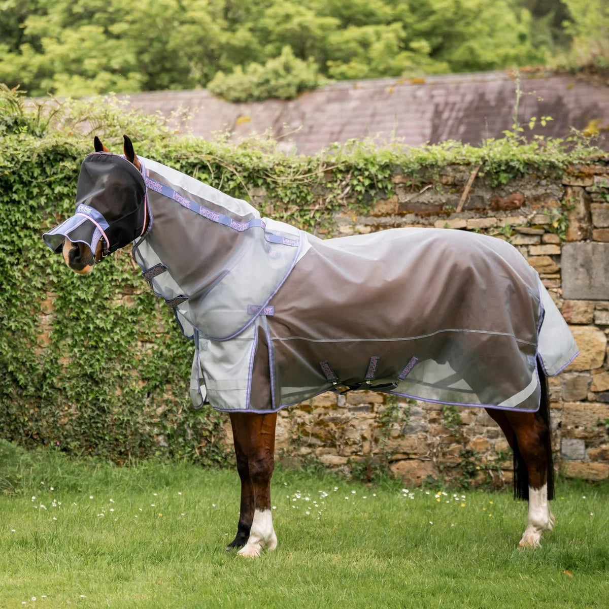 Leader Equine Defender Anti-Insect Fly Rug - Saddleworld Devonport