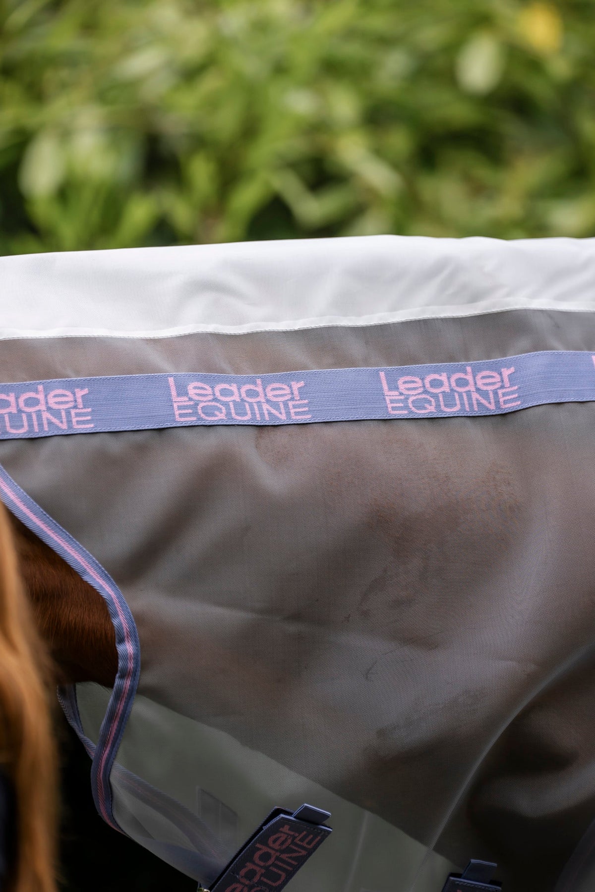 Leader Equine Defender Anti-Insect Fly Rug - Saddleworld Devonport