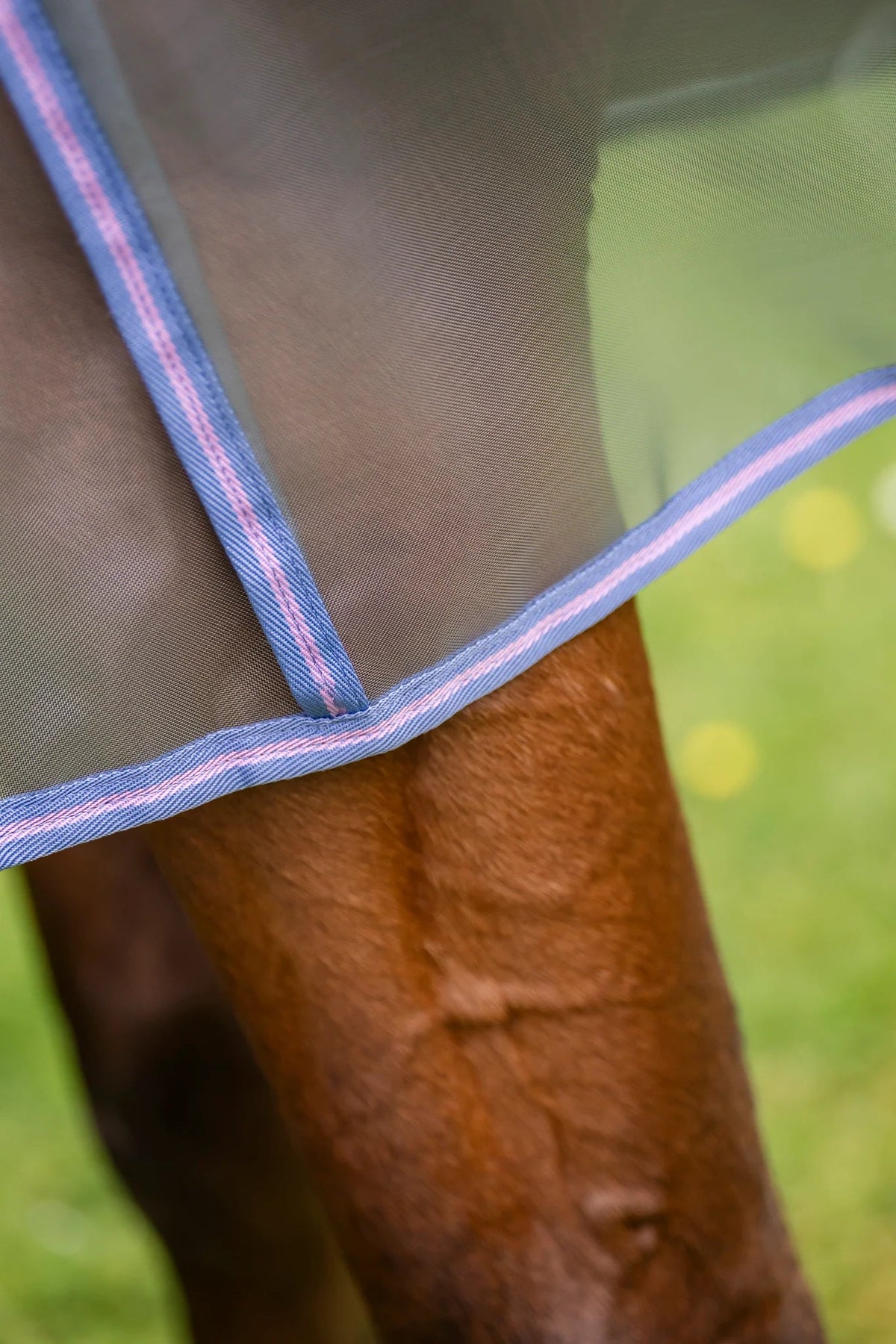 Leader Equine Defender Anti-Insect Fly Rug - Saddleworld Devonport