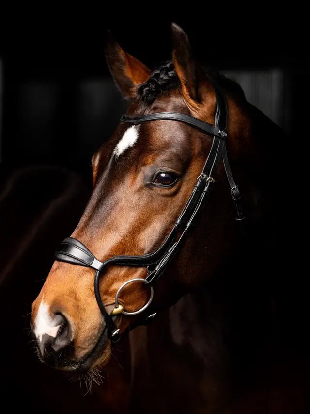 Lemieux Arika Adjustable Anotomic Noseband Bridle - Saddleworld Devonport