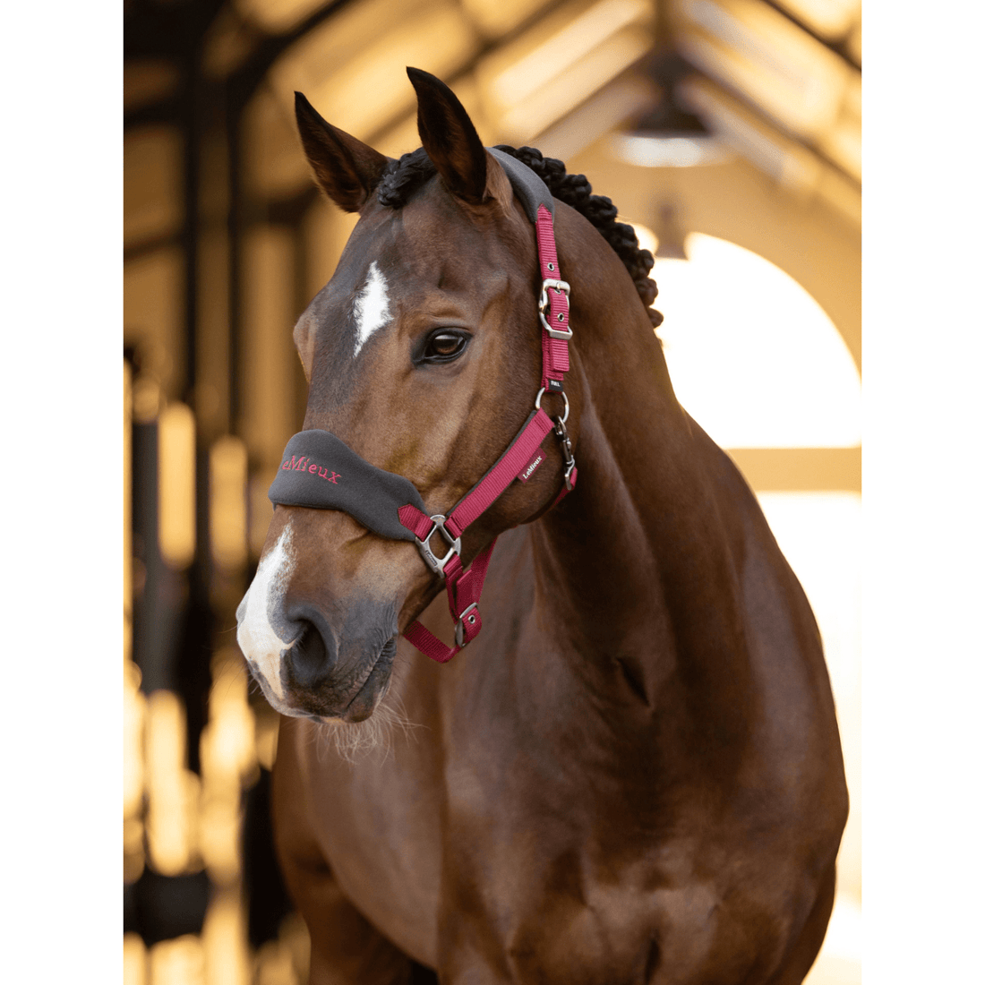 Lemieux Vogue Halter Set - Saddleworld Devonport
