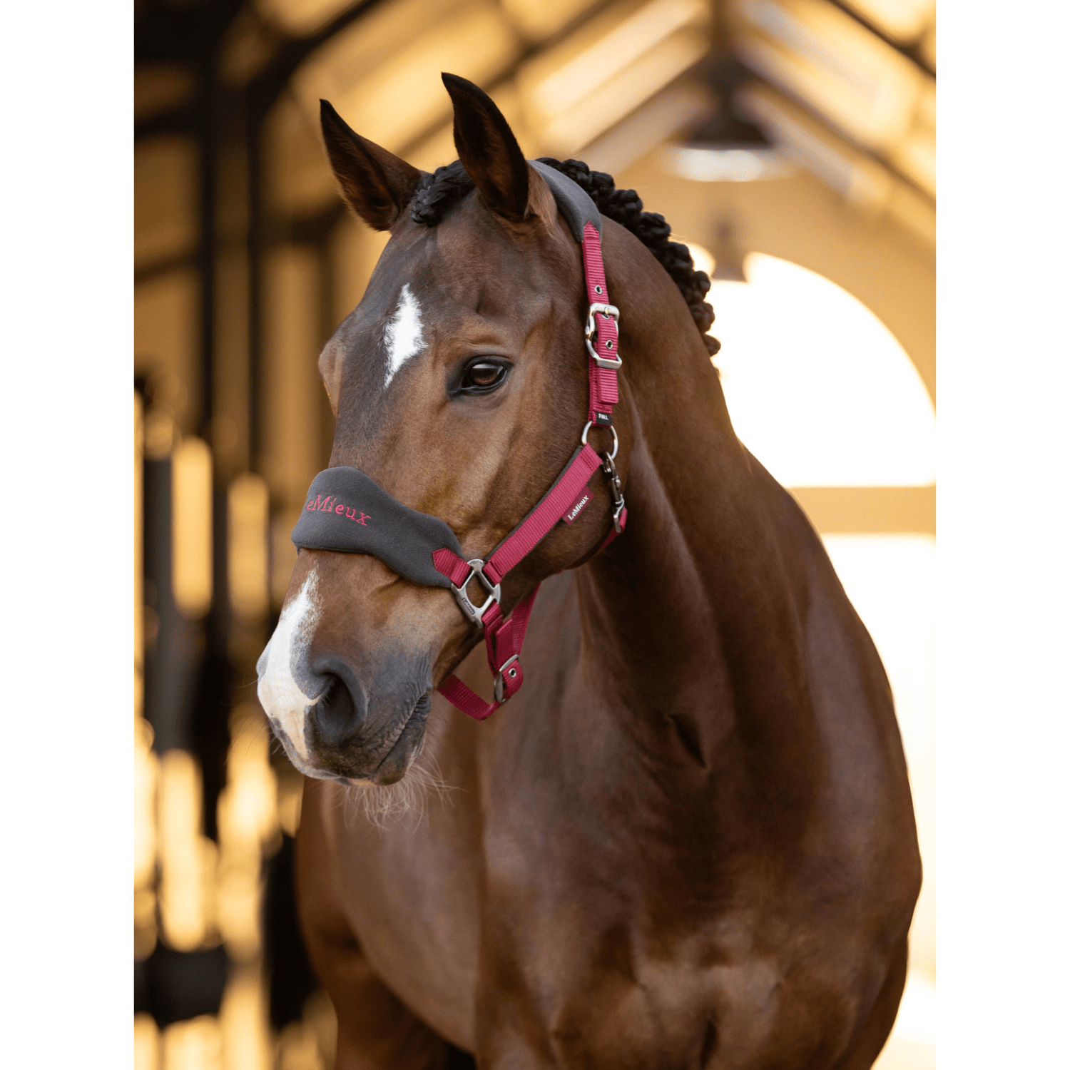 Lemieux Vogue Halter Set - Saddleworld Devonport