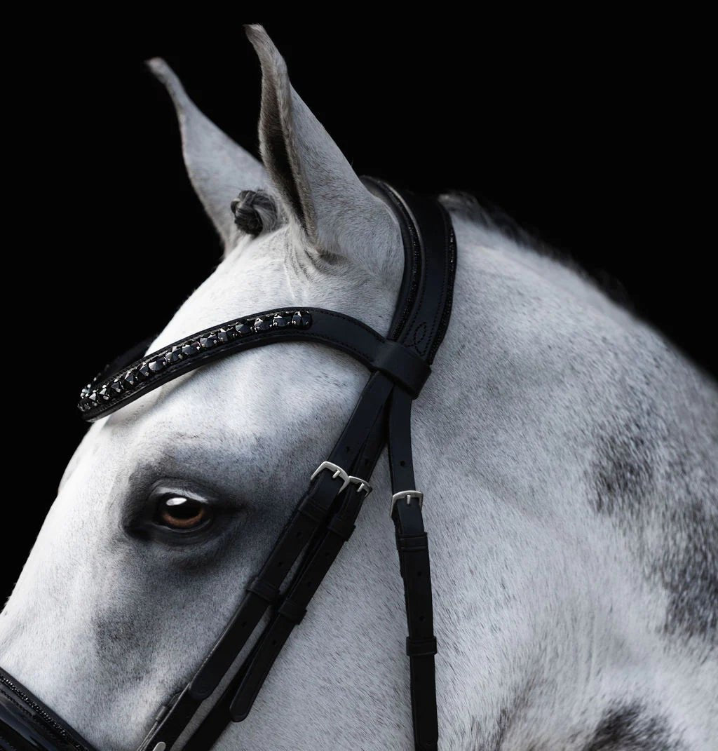 Lumiere Arcadia Hanovarian Bridle - Saddleworld Devonport