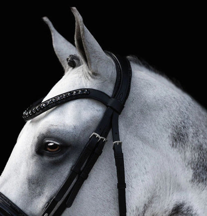 Lumiere Arcadia Hanovarian Bridle - Saddleworld Devonport