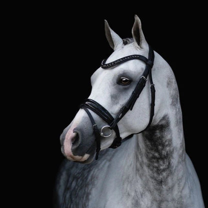 Lumiere Arcadia Hanovarian Bridle - Saddleworld Devonport