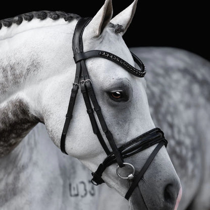 Lumiere Arcadia Hanovarian Bridle - Saddleworld Devonport