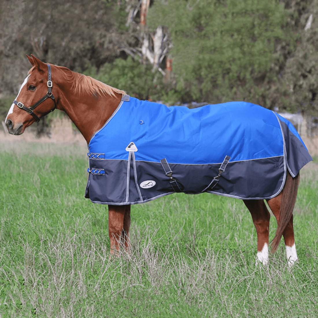 New Eurohunter Kosciuszko Rug (1200 Denier/220 Gram Fill) - Saddleworld Devonport