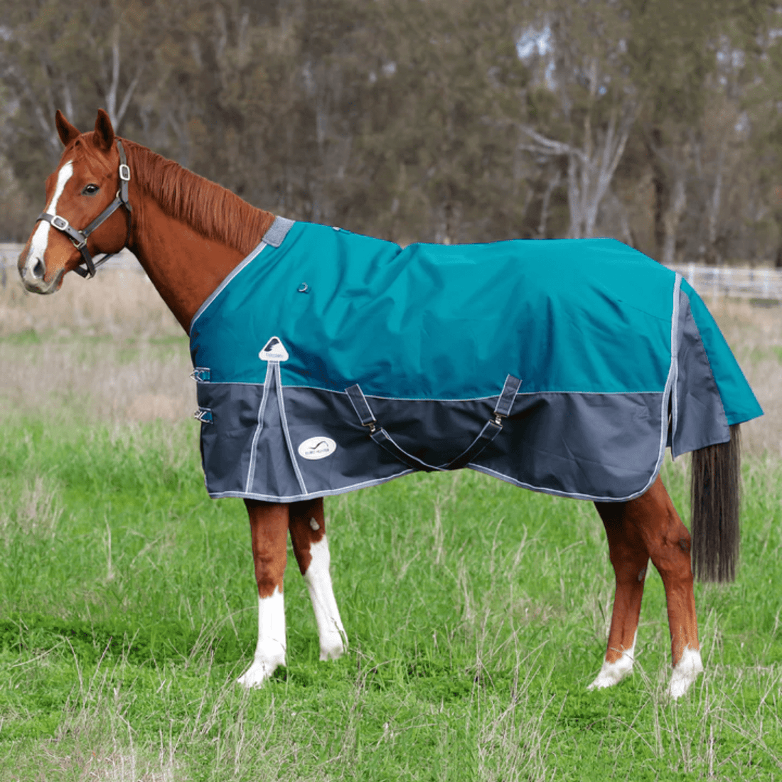 New Eurohunter Thredbo Rug (1200 Denier/200 Gram Fill) - Saddleworld Devonport
