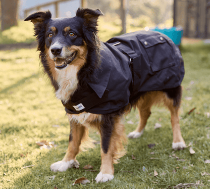 Nullarbor Oilskin Dog Rug (Cotton Lined) - Saddleworld Devonport