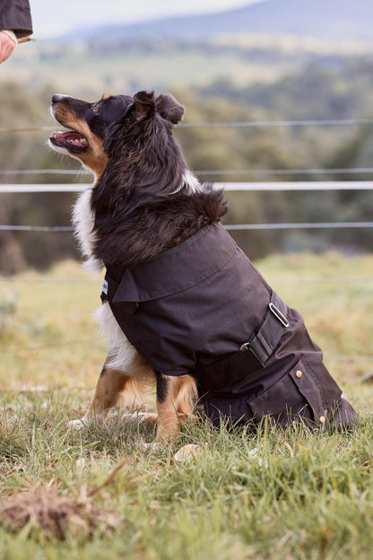 Nullarbor Oilskin Dog Rug (Cotton Lined) - Saddleworld Devonport