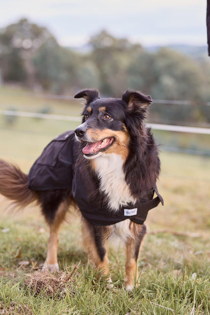 Nullarbor Oilskin Dog Rug (Cotton Lined) - Saddleworld Devonport