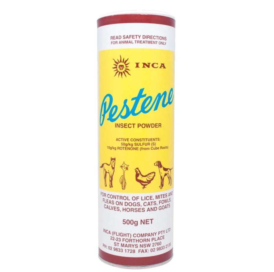 Pestene Powder - Saddleworld Devonport
