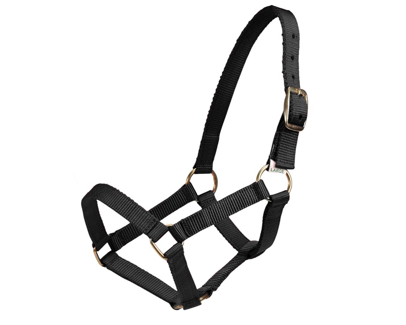 Piccolo Premium Mini Halter - Saddleworld Devonport