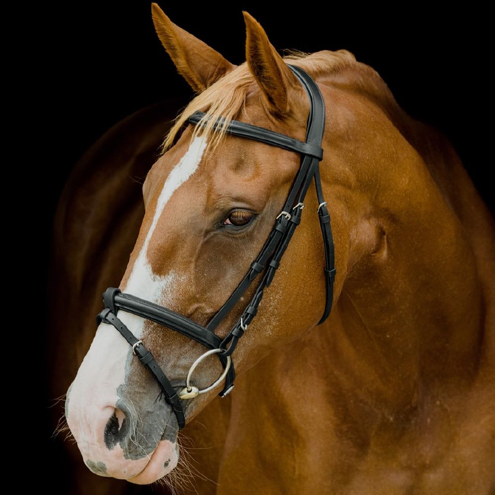 Platinum Shaped Raised Padded Bridle - Saddleworld Devonport