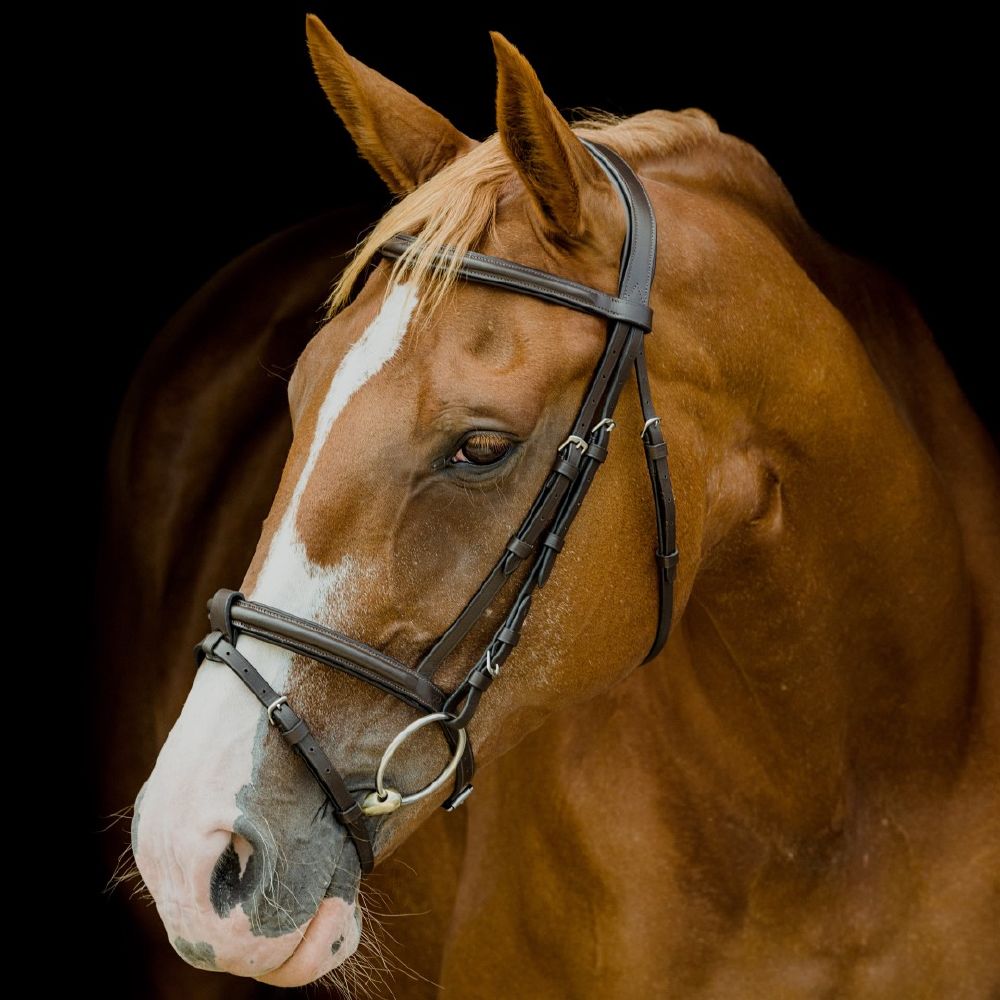 Platinum Shaped Raised Padded Bridle - Saddleworld Devonport