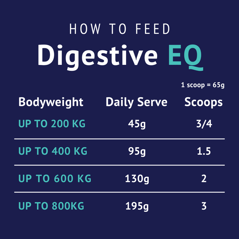 Poseidon Digestive EQ - Saddleworld Devonport