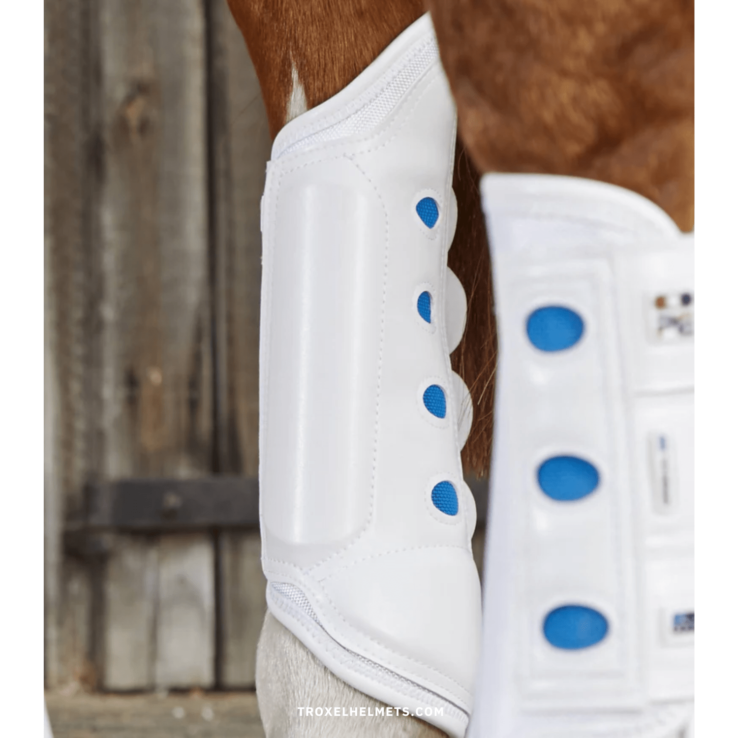 Premier Equine Air Cooled Original Eventing Boots - Hinds - Saddleworld Devonport
