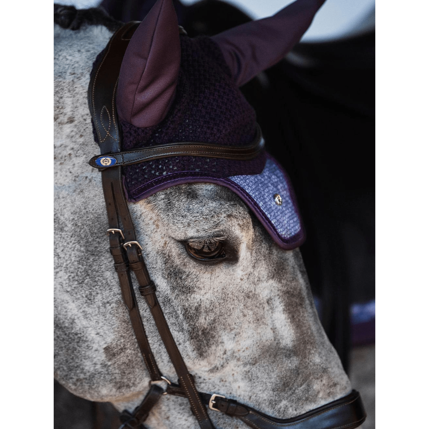 PSOS Ombre Fly Hat Plum - Saddleworld Devonport