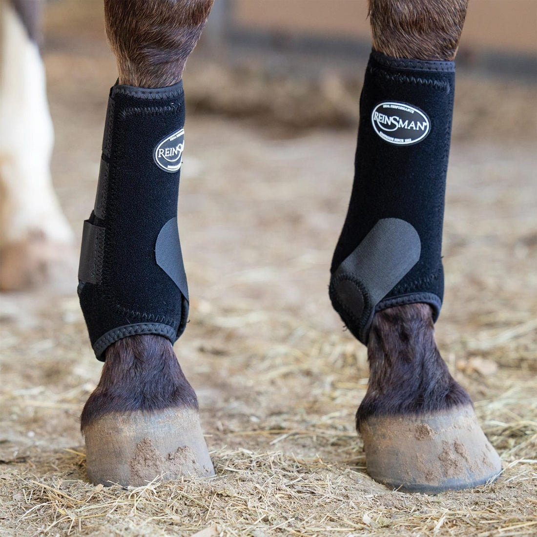 Reinsman Apex Sport Boots 2pk - Saddleworld Devonport