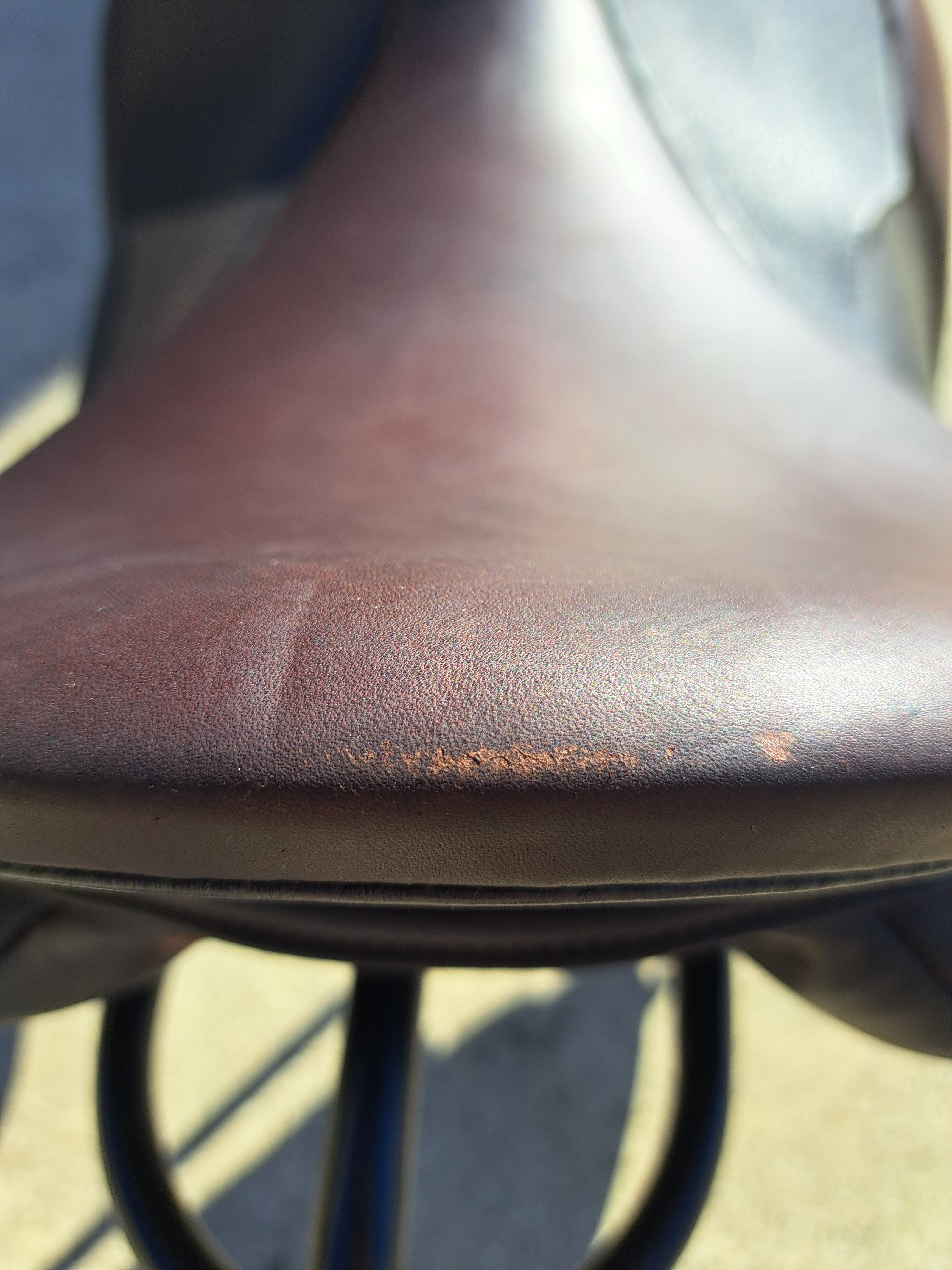Cavaletti Dressage Saddle - DEMO MODEL