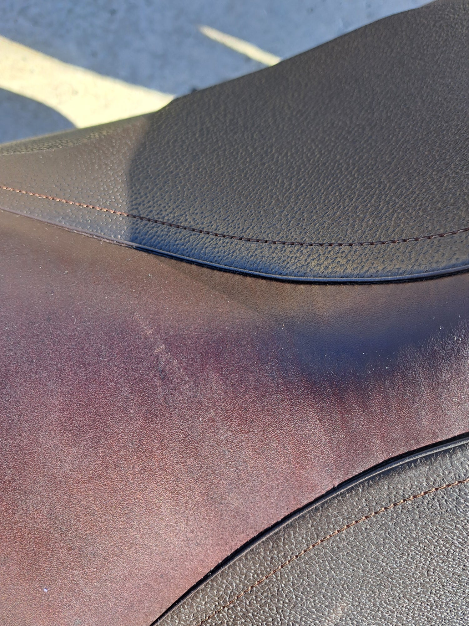 Cavaletti Dressage Saddle - DEMO MODEL