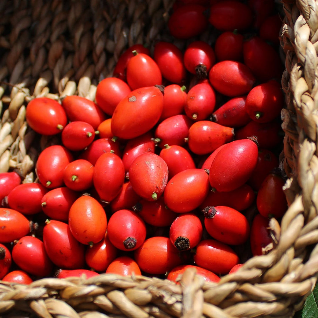 Walkenny Park Rosehip Granules