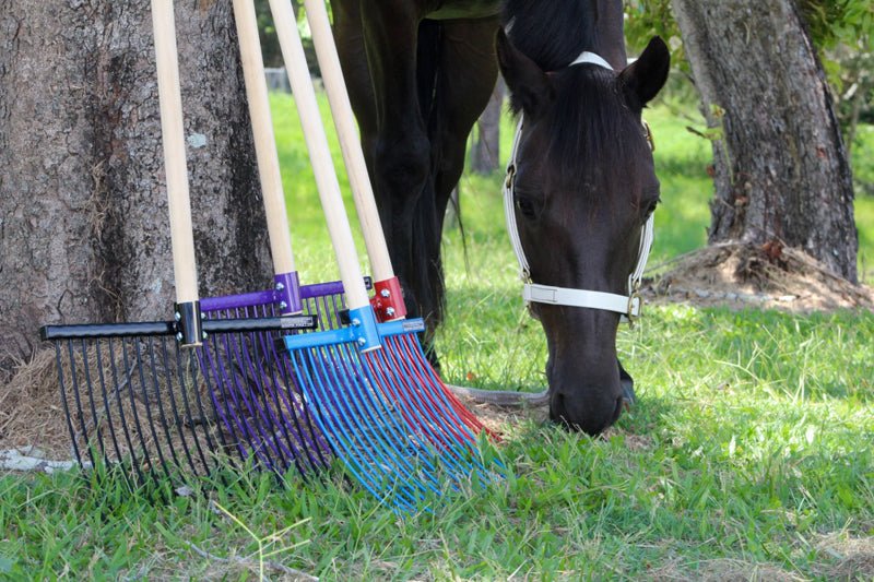 Saddleworld Stable Fork - Saddleworld Devonport