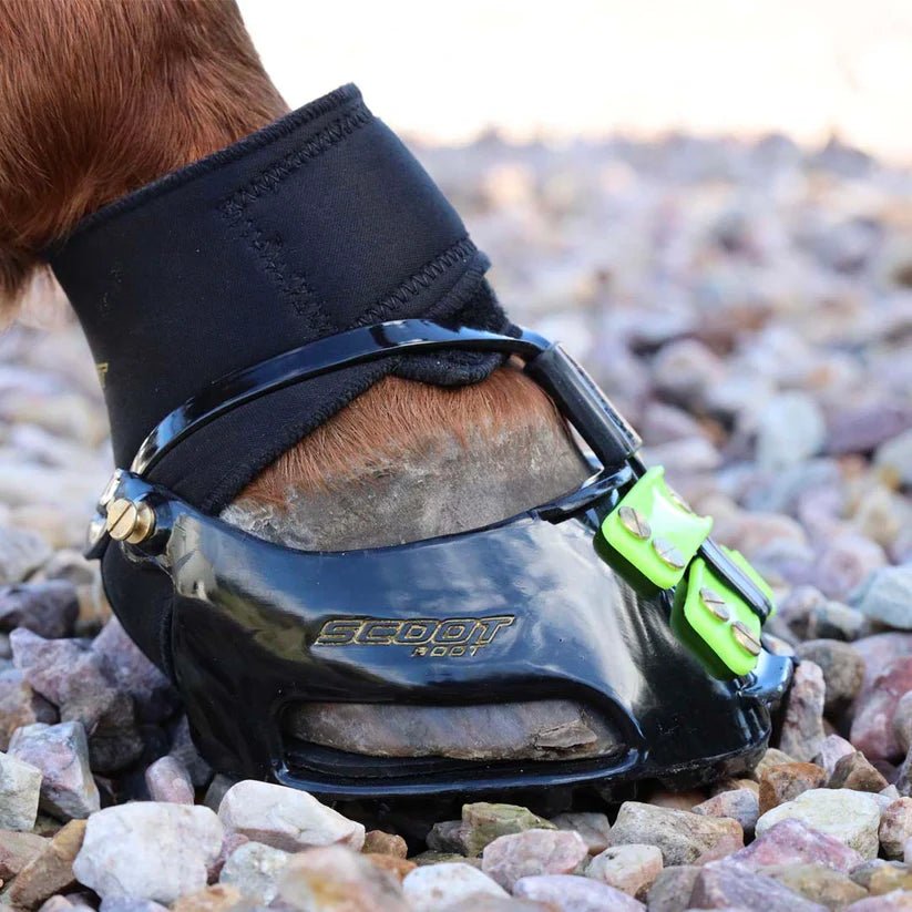 ScootBoot Endurance Gaiter - Saddleworld Devonport