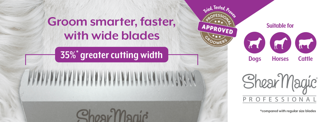 Shear Magic Wide Steel Blade 15W - Saddleworld Devonport