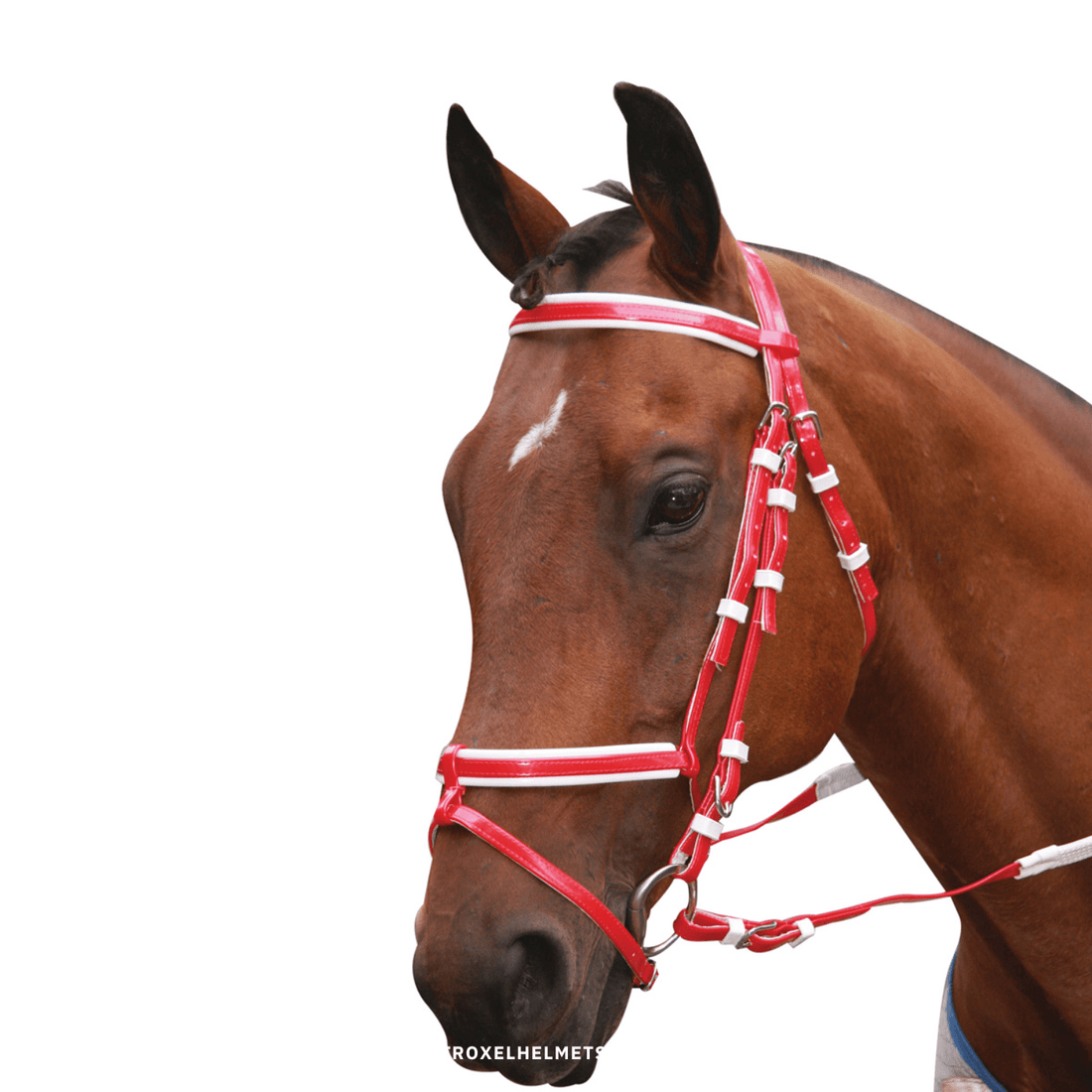 Showcraft PVC Hanoverian Event Bridle - Saddleworld Devonport