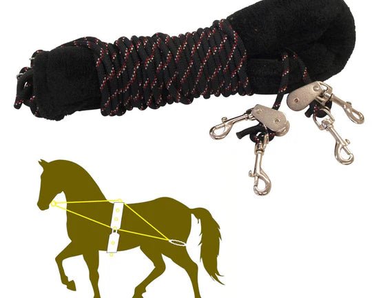 Showmaster Training System - Saddleworld Devonport
