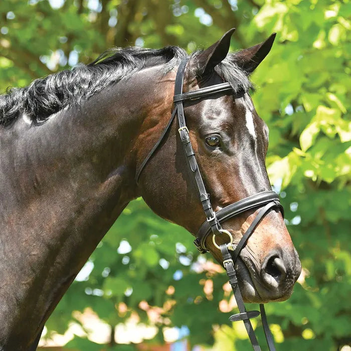 Eurohunter Dressage Snaffle Bridle