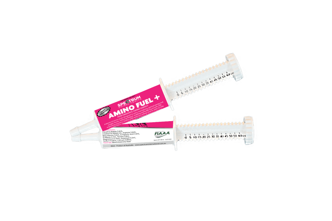 Spectrum Amino Fuel Paste - Saddleworld Devonport