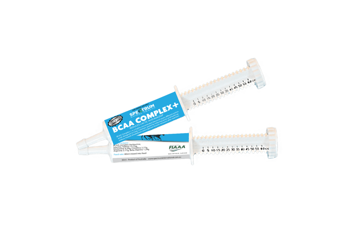 Spectrum BCAA Complex Recovery Paste 60ml - Saddleworld Devonport