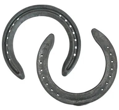 St Croix Concorde Steel Front (Toe Clip) - Saddleworld Devonport