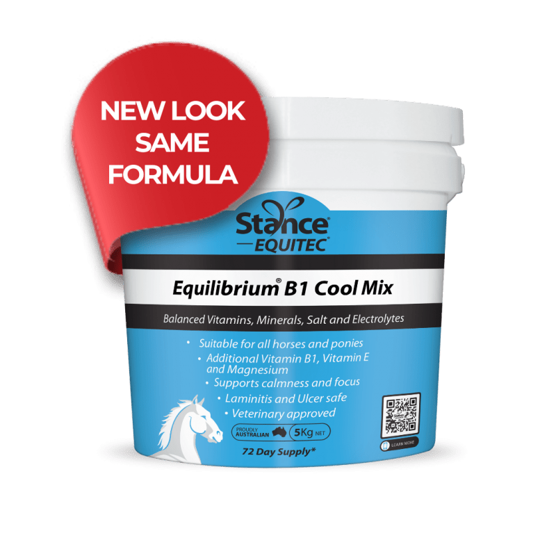 Stance Equitec Equilibrium B1 Blue - Saddleworld Devonport