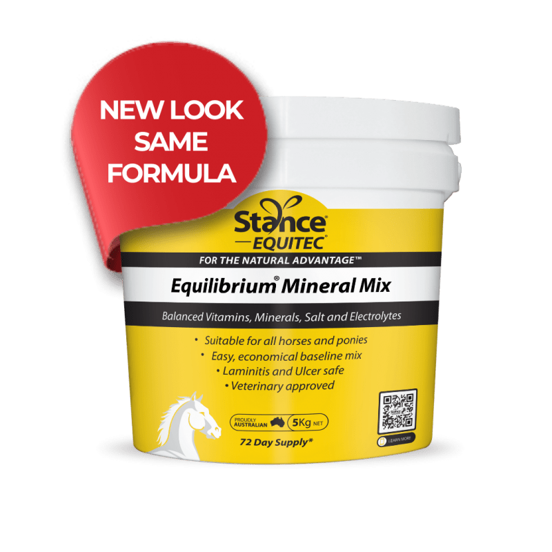 Stance Equitec Equilibrium Yellow - Saddleworld Devonport