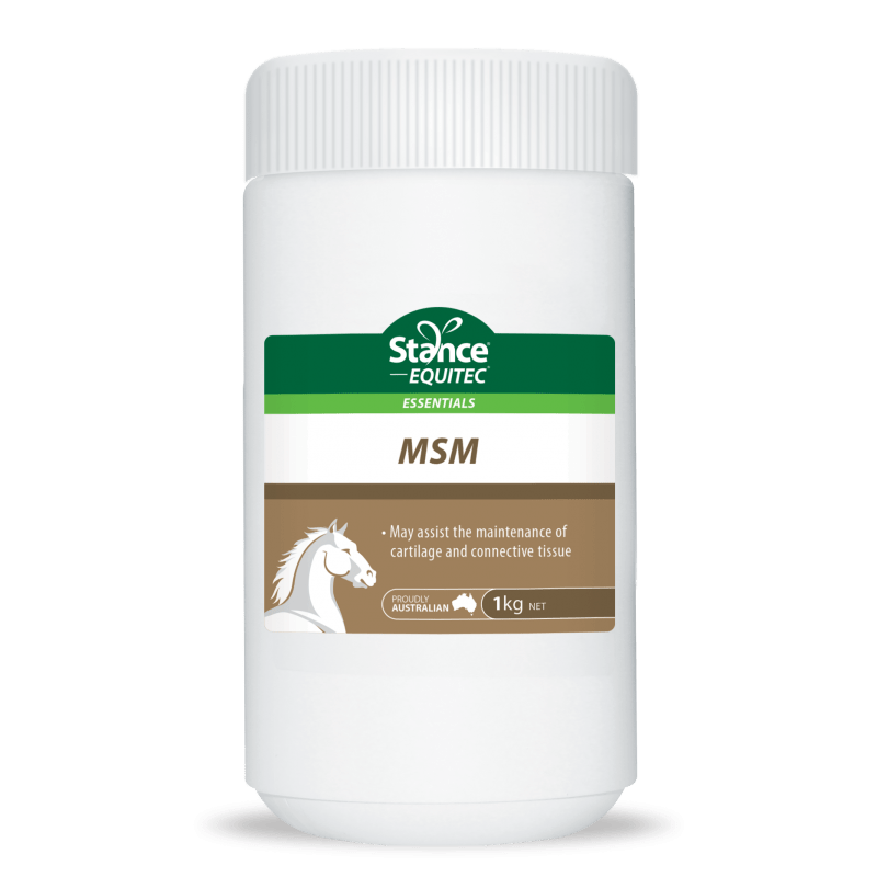 Stance Equitec MSM 1kg - Saddleworld Devonport