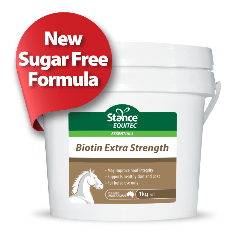 Stance Extra Strength Biotin Sugar Free - Saddleworld Devonport