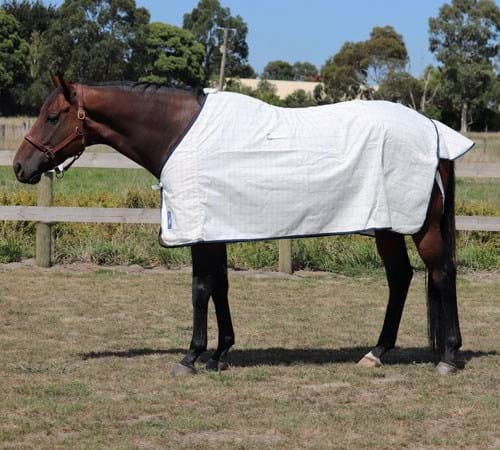 Skye Park Tearstop Cotton Rug