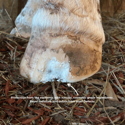The Hoof Co Beeswax PURE Balls - Saddleworld Devonport