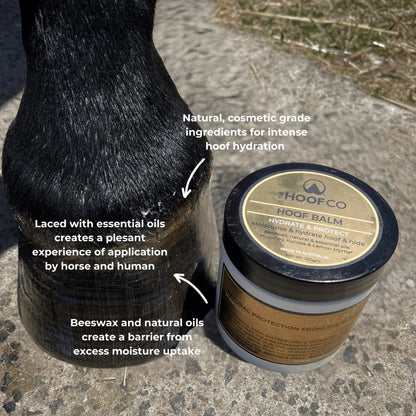 The Hoof Co Hoof Balm - Saddleworld Devonport