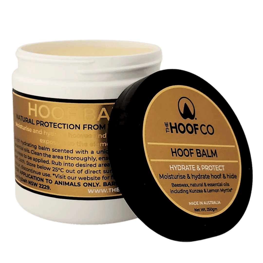 The Hoof Co Hoof Balm - Saddleworld Devonport