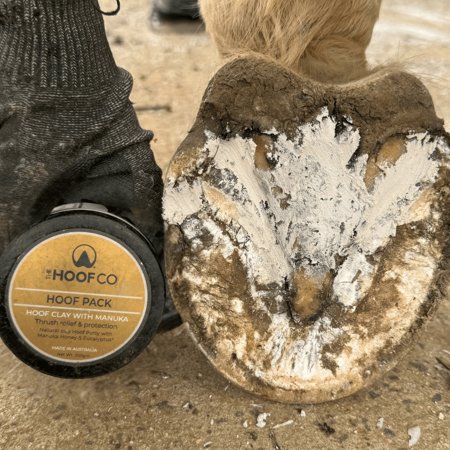 The Hoof Co Hoof Pack - Saddleworld Devonport
