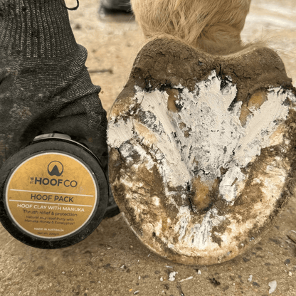 The Hoof Co Hoof Pack - Saddleworld Devonport